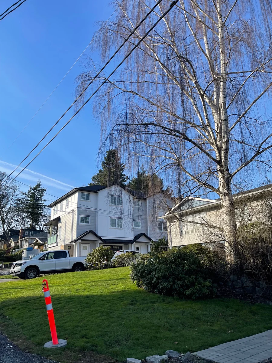 A white three-storey multiplex set behind a lawn and a large bare birch tree, with an orange marker post at the roadside.