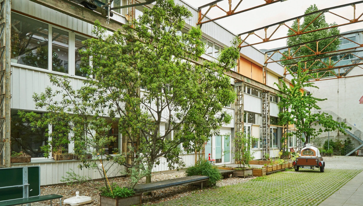 A courtyard at Gundeldinger Feld with a mature tree growing up through the rusted steel frame of a former factory canopy, beside a white-clad building with benches and planters.