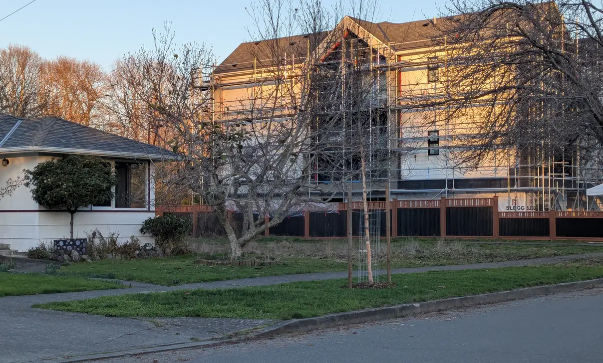 The same Victoria street seen from further along: a low bungalow and its bare fruit trees on the left, and the scaffolded block filling the rest of the frame behind a hoarding fence.